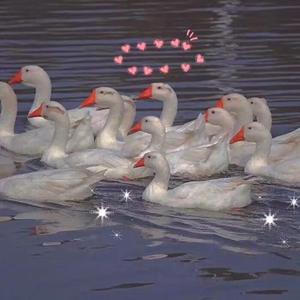 男男❌到爽🔞流片真人
