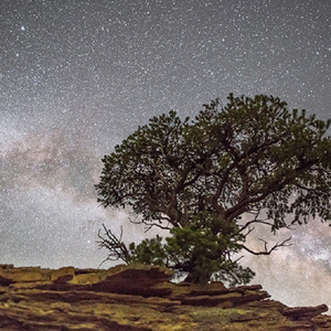男男❌到爽🔞流片真人
